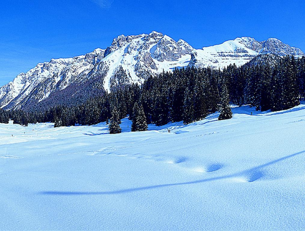 Campiglio Trilocale Monte Spinale Leilighet Madonna Rom bilde